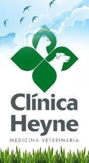 Clínica Heyne Ltda - Santiago - Santiago R.M: