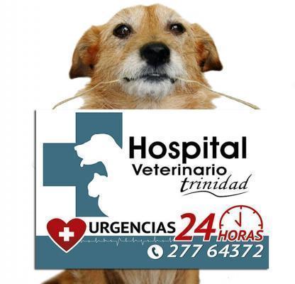 Hospital Veterinario Trinidad - Estación Central - Santiago R.M: