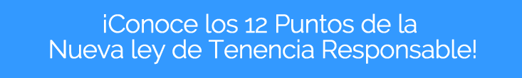 12 puntos.png