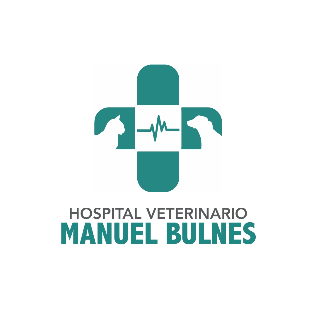 Hospital Veterinario Manuel Bulnes  - Concepción - Concepción