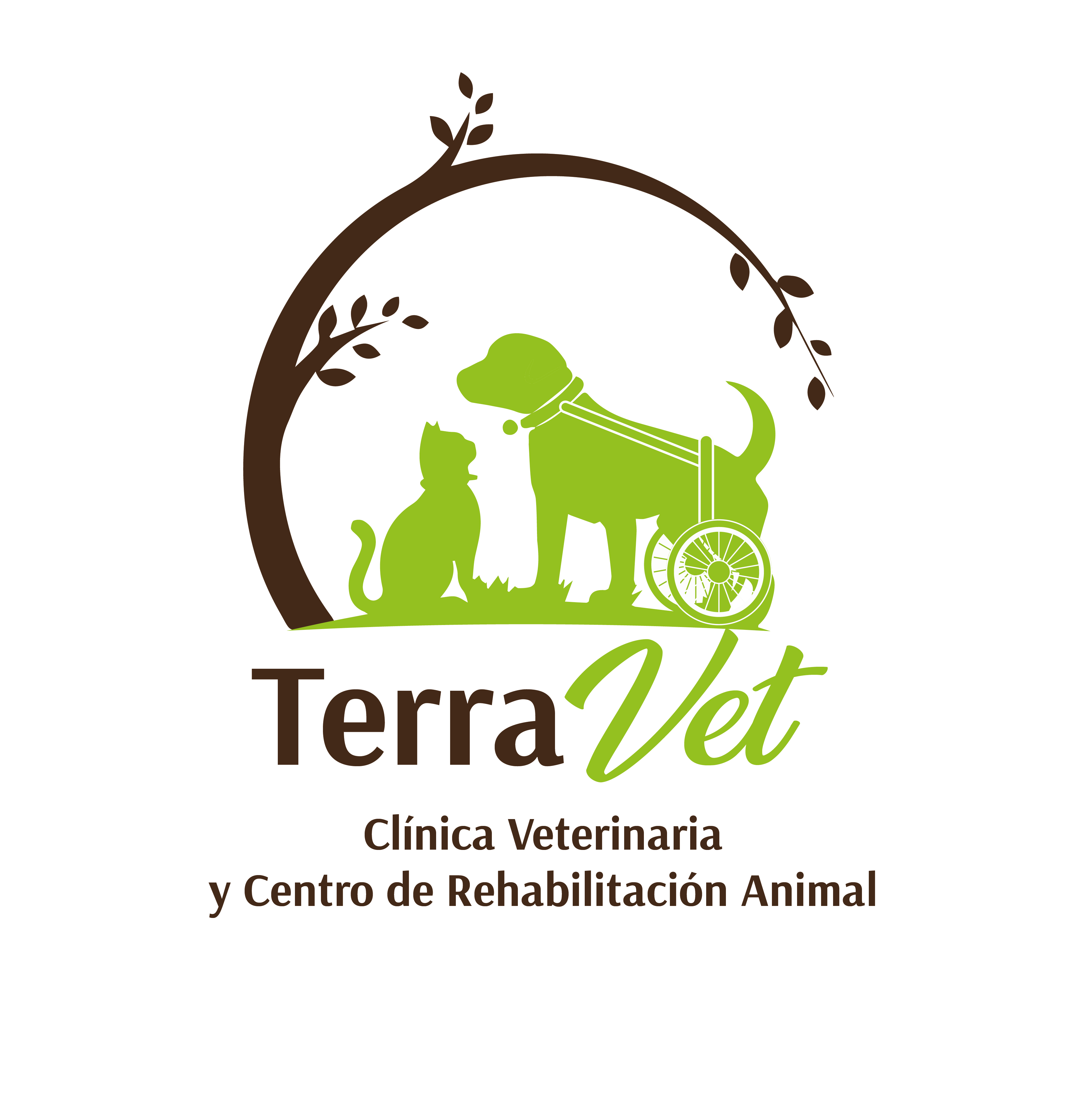 Terravet - Puerto Montt - Puerto Montt