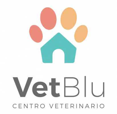 VetBlu Spa - Chillán - Chillán