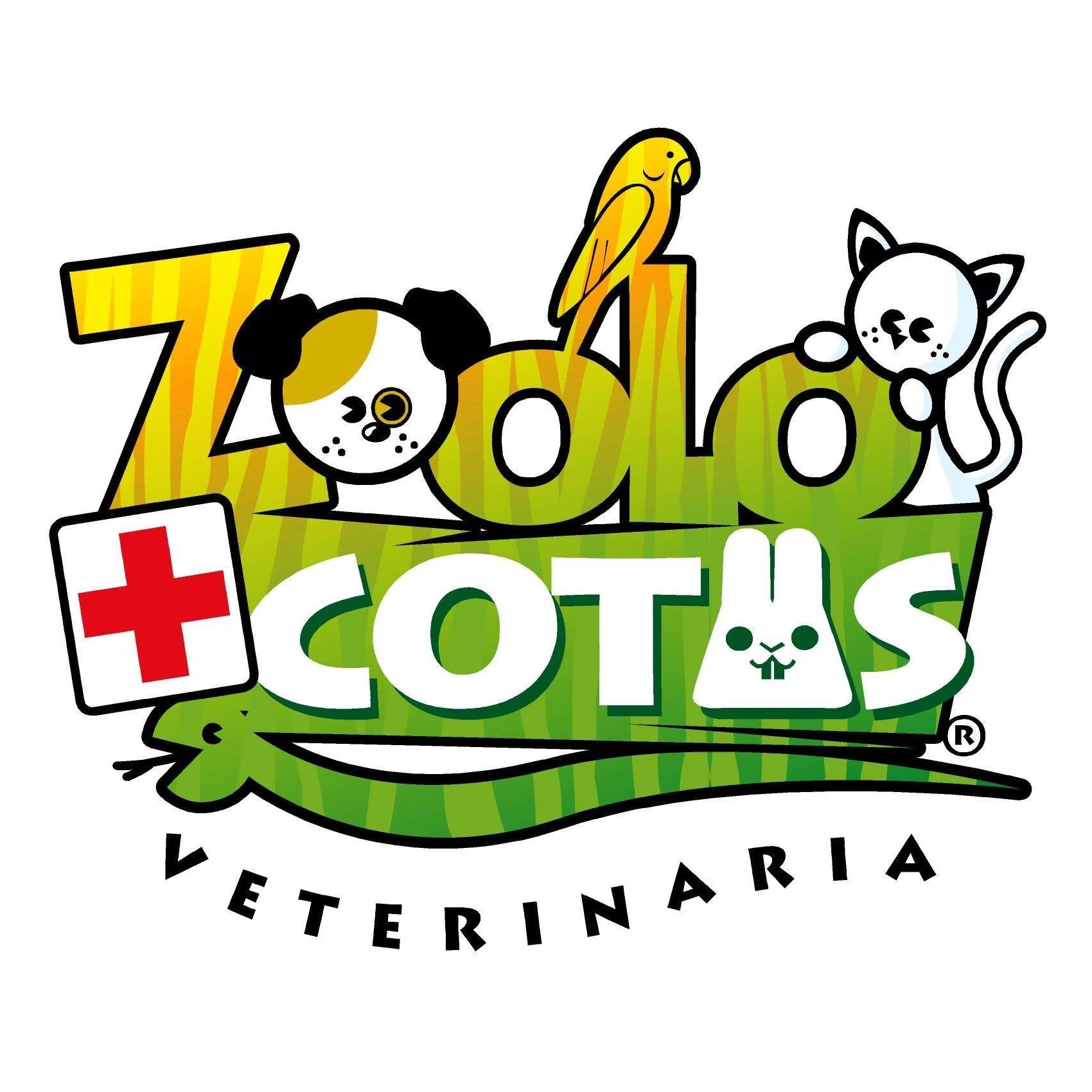 Veterinaria Zoolomascotas  - El Bosque - Santiago R.M: