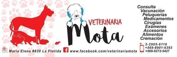 Clínica Veterinaria Mota - La Florida - Santiago R.M: