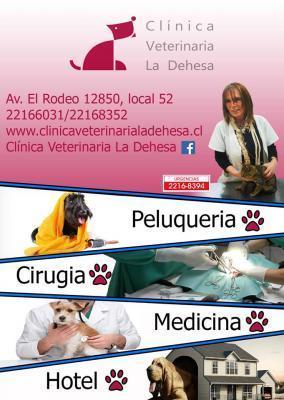 Clínica Veterinaria La Dehesa - Lo Barnechea - Santiago