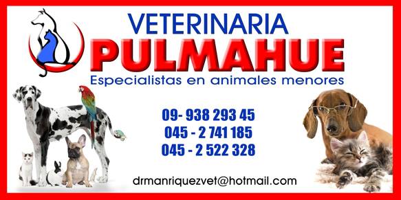 Veterinaria Pulmahue - Padre las Casas - Temuco