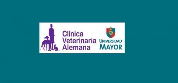 Clínica Veterinaria Alemana - Peñalolen - Santiago