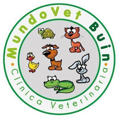 Clínica Veterinaria Mundovet Buin - Buin - Santiago