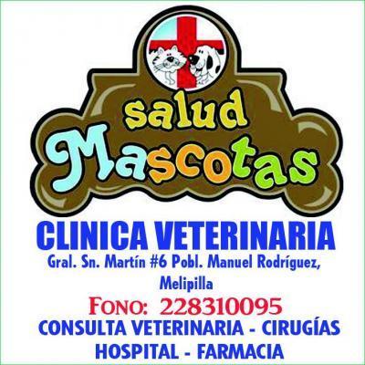 Clínica Salud Mascotas - Melipilla - Melipilla