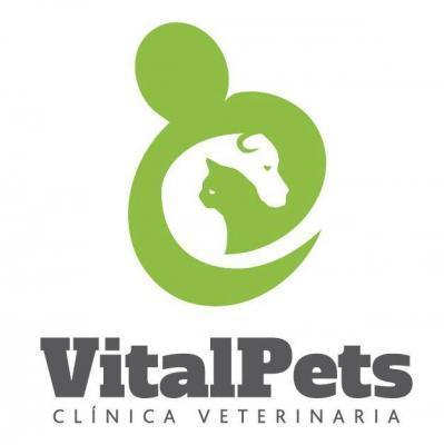 Clínica Veterinaria VitalPets - Concepción - Concepción