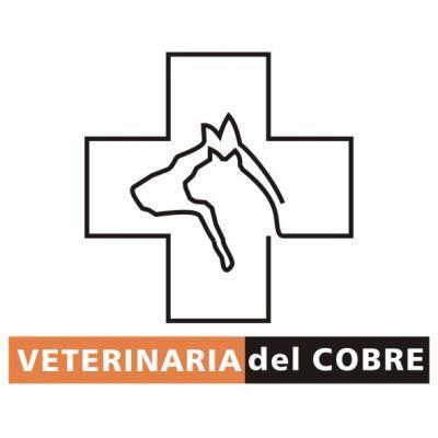 Veterinaria Del Cobre - Calama - Antofagasta
