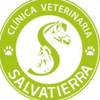 Hospital Clínico Veterinario Salvatierra - La Serena - La Serena - Coquimbo