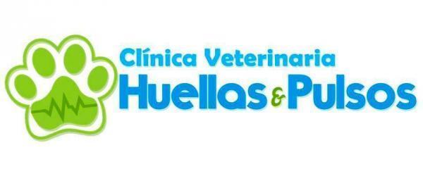Clinica Veterinaria Huellas y Pulsos - Arica - Arica 