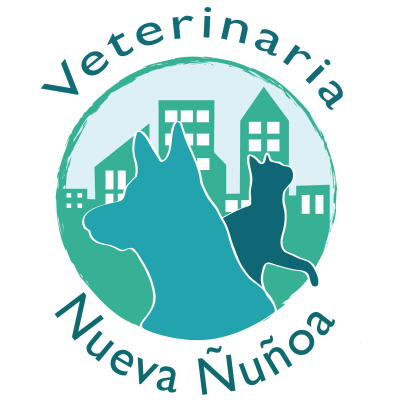 Veterinaria Nueva Ñuñoa - Ñuñoa - Santiago R.M: