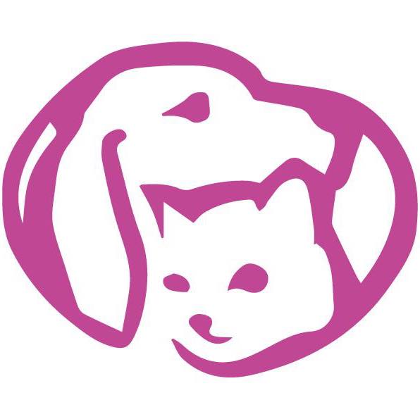 Clinica Central Veterinaria - Iquique  - Iquique