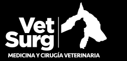 Clínica Veterinaria VetSurg - Las Condes - Santiago