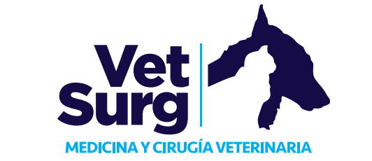 Clínica Veterinaria VetSurg - Las Condes - Santiago R.M:
