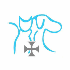 Clínica Veterinaria Antihual - Puerto Montt - Puerto Montt