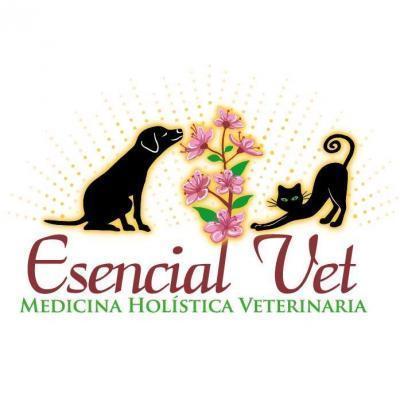 Paulina Ñancupil  Esencial Vet - Valdivia      - Los Ríos