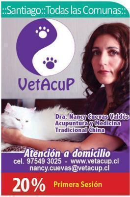 Dra. Nancy Cuevas Valdés MV | Vetacup - La Florida - Santiago R.M: