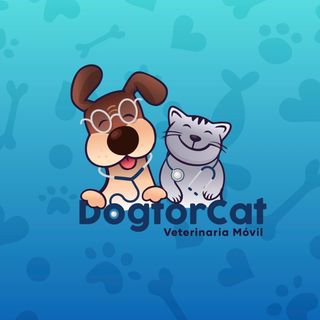 Clínica Veterinaria Movil DogtorCat - Ñuñoa - Santiago R.M: