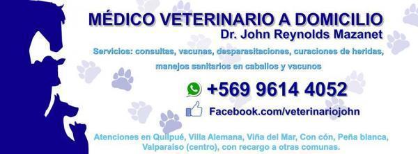 John Reynolds Mazanet - Quilpué - Valparaiso - Viña del Mar