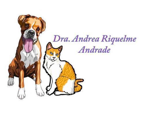Andrea Riquelme Andrade - Viña del Mar - Valparaiso - Viña del Mar