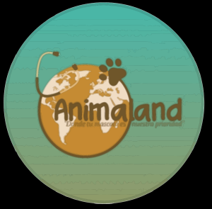 Clínica Veterinaria Animaland - Villa Alemana - Valparaiso - Viña del Mar
