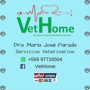 María José Parada Parada | VetHome - La Florida - Santiago R.M: