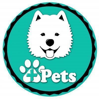 Maspets - Ñuñoa - Santiago
