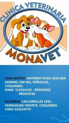 Clinica veterinaria MonaVet La Herradura oriente - Coquimbo - La Serena - Coquimbo