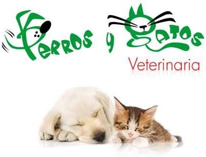 Veterinaria Perros y Gatos - Santiago - Santiago