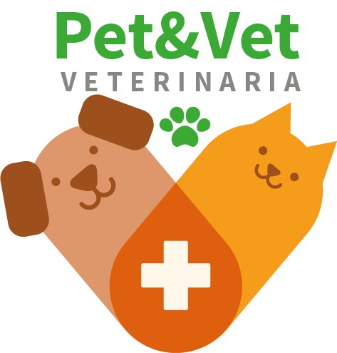 Petyvet - Rancagua       - Libertador Bernardo. O Higgins