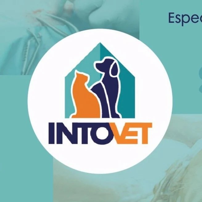 INTOVET - Vitacura - Santiago R.M: