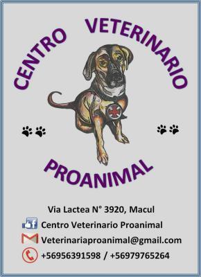 Centro Veterinario Proanimal - Macul - Santiago
