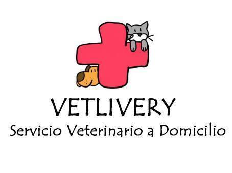 VETLIVERY - Ñuñoa - Santiago