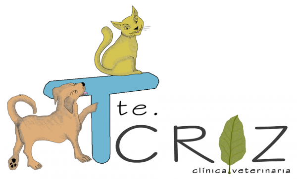 Clínica Veterinaria Teniente Cruz. - Pudahuel - Santiago R.M: