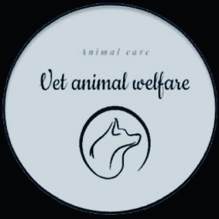 Vet animal welfare E.I.R.L - Colina - Santiago