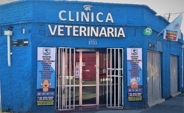 Veterinaria VET CHILE - La Cisterna - Santiago