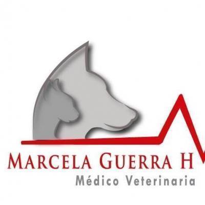 Marcela Guerra Domicilios Veterinarios - Maipú - Región Metropolitana de Santiago