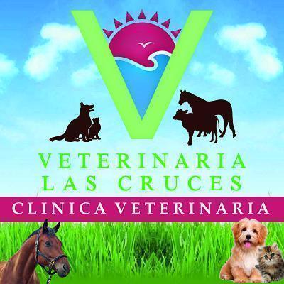 Veterinaria Las Cruces - San Antonio - Valparaiso - Viña del Mar