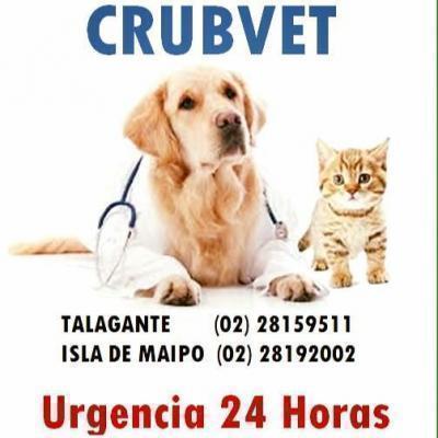 Centro Veterinario Crubvet - Isla de Maipo - Santiago