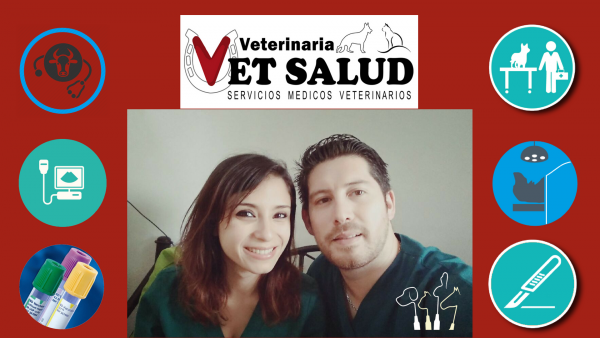 Clínica Veterinari Vet Salud - Linares - Linares