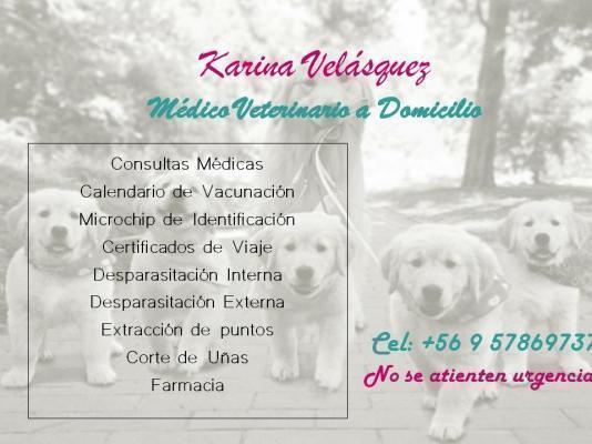 Veterinaria y Farmacia Movil Mascopatitas - Santa Cruz - Libertador Bernardo. O Higgins