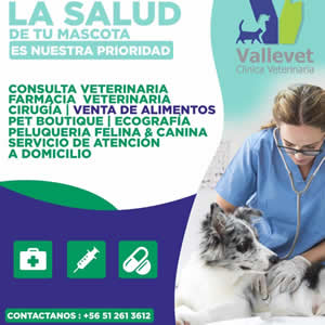 Clinica Vallevet - Vallenar - Copiapó