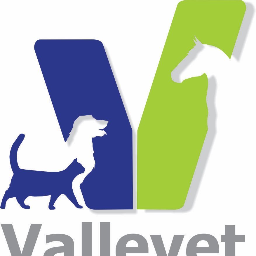 Clinica Vallevet - Vallenar - Copiapó
