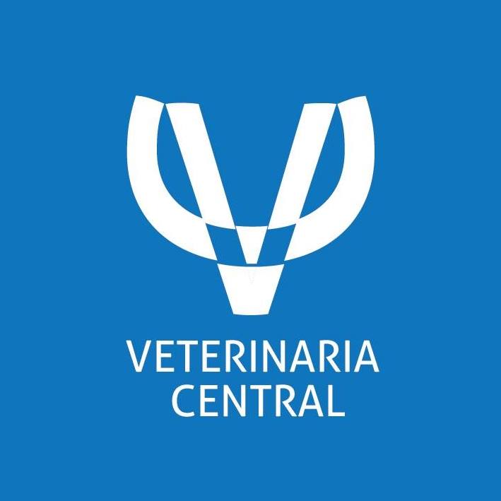 Veterinaria Central Loncoche - Loncoche - Temuco