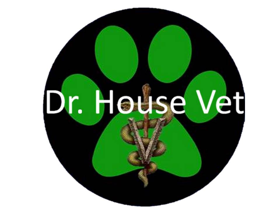 CLÍNICA VETERINARIA DR. HOUSE VET - Huechuraba - Santiago