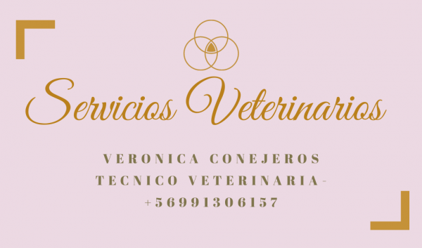 Verónica Conejeros Díaz - Lo Prado - Santiago